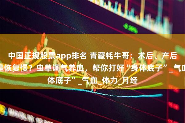 中国正规股票app排名 青藏牦牛哥：术后、产后、久病后总是恢复慢？虫草调气养血，帮你打好“身体底子”_气血_体力_月经