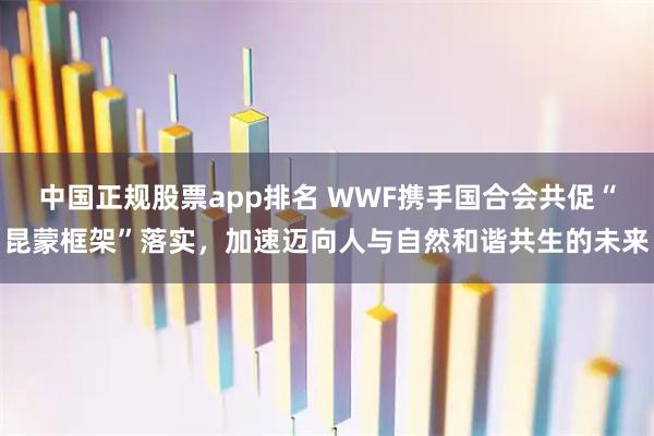 中国正规股票app排名 WWF携手国合会共促“昆蒙框架”落实，加速迈向人与自然和谐共生的未来