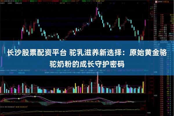 长沙股票配资平台 驼乳滋养新选择：原始黄金骆驼奶粉的成长守护密码